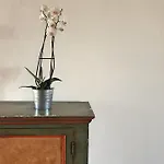 לינה וארוחת בוקר Casa Do Alto 4*