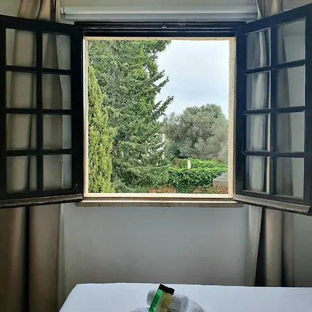 Casa Do Alto Bed & Breakfast 4*