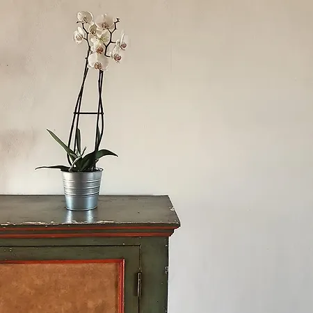 Bed & Breakfast Casa Do Alto 4*