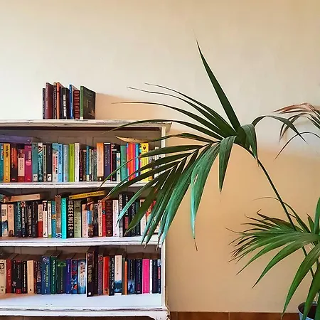 Bed & Breakfast Casa Do Alto