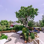 Bed & Breakfast Casa Do Alto Vilamoura
