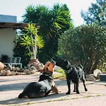 Bed & Breakfast Casa Do Alto 4*